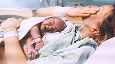 ilustra�ní snímek