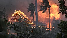 Havaj pustoší lesní požár. (10. srpna 2023)