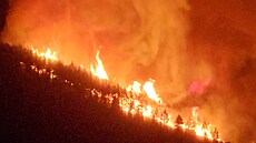 Lesní požár, který vypukl v národním parku na španělském ostrově Tenerife, se...