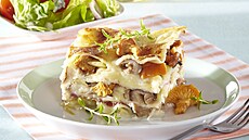 Lasagne s houbami