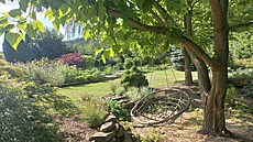 Pod katalpou, takovou Eywou této zahrady, je nepochybn� skv�lé místo k...