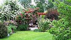 Pergola je pom�rn� nová, p�esto u� ji krásn� zahalují vzrostlé ke�e r��í a...