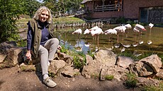 Radana Dungelová (60 let) je od záí 2022 editelkou Zoo Brno. Se souasným...