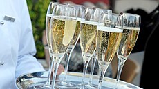 Sklenice se ampaským (22. bezna 2023)