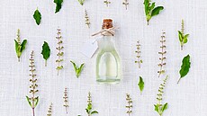 Ka�tan, arnika, pupe�ník nebo libavka - zkuste bylinky p�i svalové zát�i!