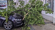 Pra��tí hasi�i vyjí�d�li k n�kolika p�ípad�m popadaných strom�. (16. srpna 2023)