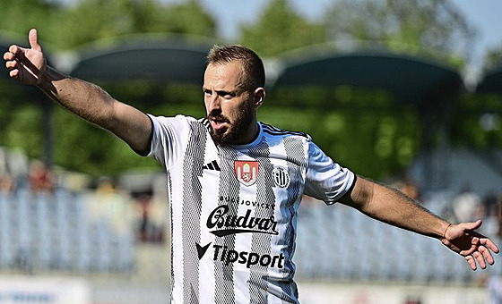 Ji�í Skalák z �eských Bud�jovic gestikuluje v utkání proti Bohemians.