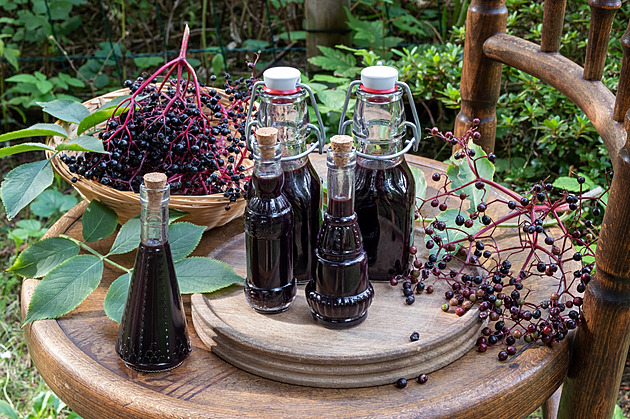 Rychlý, jedlý a zdravý. Sirup z černého bezu, který máte hotový raz dva