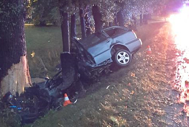 Řidič na mokru nezvládl své auto a narazil do stromu, na místě zemřel