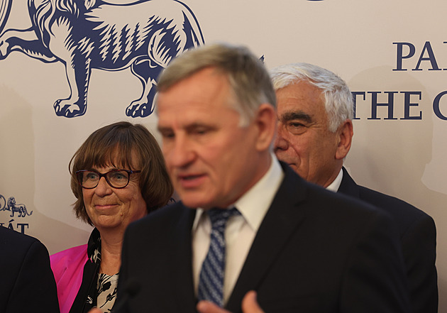 Senát Istanbulskou úmluvu smete, věří jeho místopředseda Jiří Oberfalzer