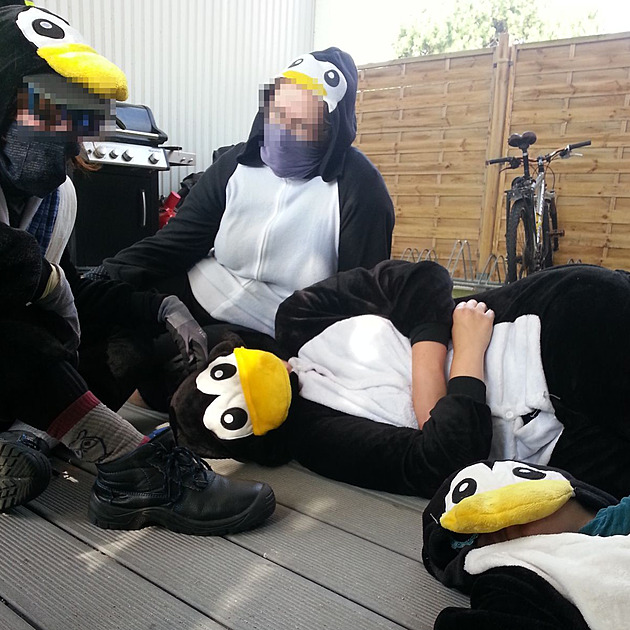 Aktivisté převlečení za tučňáky se pokusili zablokovat německé letiště