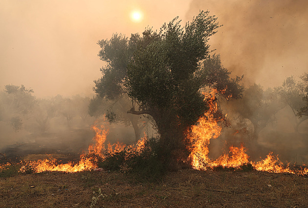 Ničivé požáry v Řecku stále neustávají. U národního parku hasili i Češi
