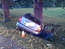 �idi� havaroval u Hlubok� nad Vltavou. N�raz do stromu nep�e�il.