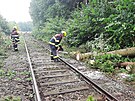 Dr�n� hasi�i likviduj� n�sledky bou�e na �eleznici. (27. srpna 2023)