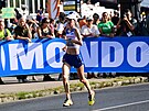 eská maratonkyn Moira Stewartová na atletickém mistrovství svta v Budapeti.