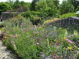 V roce 2008 zaali zahradní architekti v Tullnu postupn mnit zahradní...