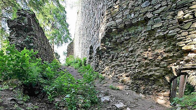 Dnes je hrad Pertejn zcenina. Zbv po nm jen nkolik rozpadajcch se zd a pozstatek vlcov ve mezi stromy.