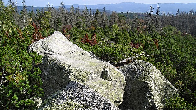Kamenn� mo�e pod Ple�n�m jezerem (2009)