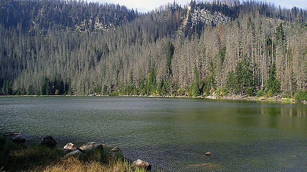 Ple�n� jezero (2009)