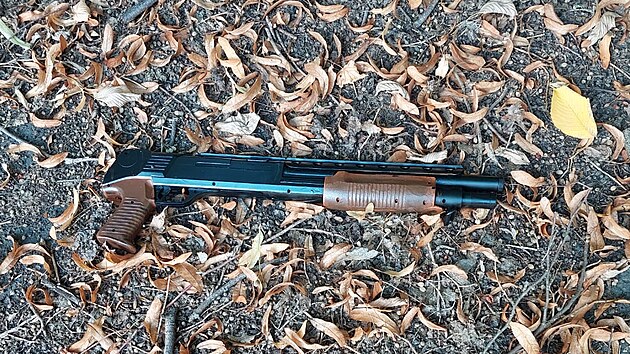 Lupi� p�i�el do herny s airsoftovou brokovnic� imituj�c� re�lnou st�elnou zbra�.