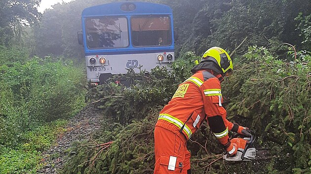 Drážní hasiči likvidují následky bouře na železnici. (27. srpna 2023)