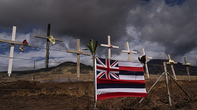 Ke k uctn pamtky obt niivch lesnch por na havajskm ostrov Maui. (22. srpna 2023)