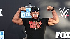 Hulk Hogan (2022)