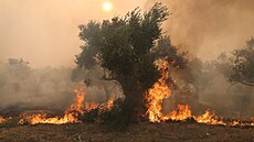 Poáry opt suují ecko. Nejkrititjí je situace v pístavu Alexandrupoli....