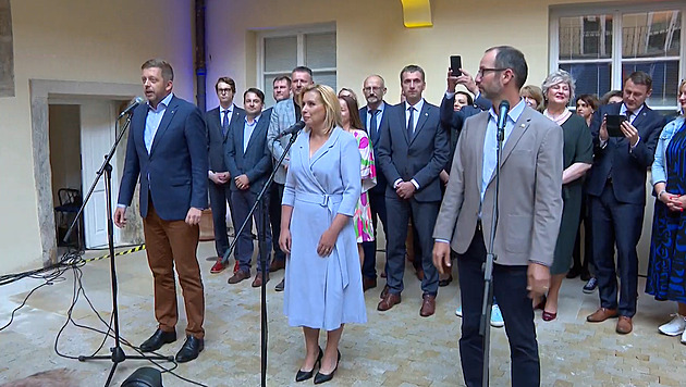 Za různé provazy. Koaliční strany dumají, jak do eurovoleb