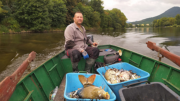 Zkáza, kterou rybáři nechtějí zažít. Z vody se stále vynořují další mrtvé ryby