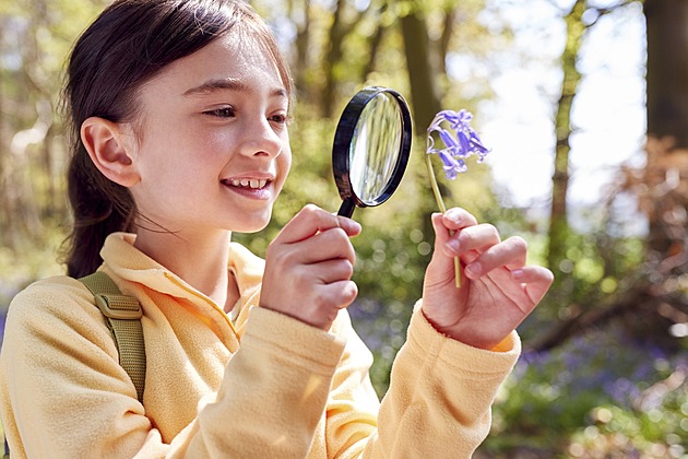 Poníci i hravé pokusy rozvíjí v dětech talent