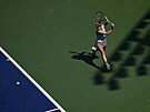 eská tenistka Karolína Muchová ve druhém kole US Open.