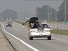 Býk Watusi v aut na míst spolujezdce (30. srpna 2023)