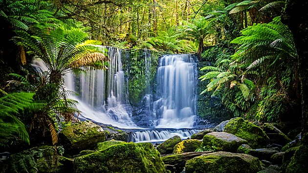 Tasmnie je rjem posetm nrodnmi parky, kdy pi pm treku v prod nemuste dlouh hodiny narazit na dal turisty. Uijete si vodopdy v Russell Falls, chvatn jezera (teba St. Clair) a za nimi tyc se hory i jedinen ple v Bay of Fires s blm pskem.