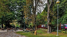 Olomoucká radnice chce výrazn� o�ivit areál letního kina s p�ilehlým zázemím.