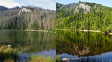 Plešné jezero v roce 2009 (vlevo) a stejné místo v roce 2023