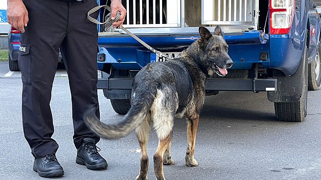 STALO SE DNES: Psi našli tělo na dně přehrady, úsporný balíček prošel druhým čtením