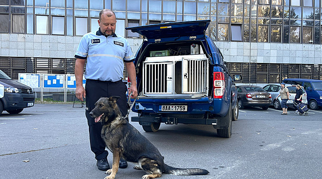 Psi vyčenichali ženu na dně Slapské přehrady, mrtvolu našel podvodní dron