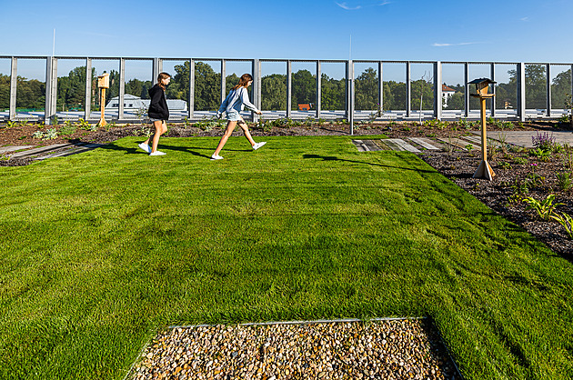 Školám v Hradci scházejí třídy, radnice chystá opravy za miliardu korun