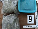 Policie v Brn� kv�li drog�m zadr�ela �ty�i lidi. Zajistila 30 kilogram� l�k�,...