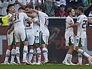 Fotbalisté Borussie Mönchengladbach se radují z gólu, vlevo slaví i Tomá...