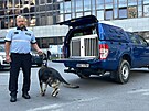 Kynolog a policejní psovod David Vedral se speciálním lenem týmu Pitou, který...