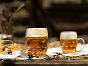 Pivo Eibenthal se vaí v eském pivovaru Cvikov a poté se vydá na cestu do...