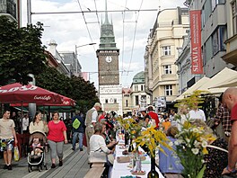 Poslední srpnový den pardubická tída Míru dostala zvlátní podobu. Na hlavní...
