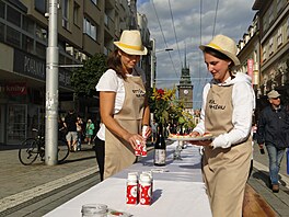 Organizátoi akce Stl na míru prosteli u bhem odpoledne.