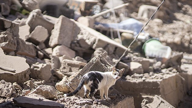 Nsledky zemtesen ve vesnici Moulay Brahim nedaleko Marrkee (9. z 2023)