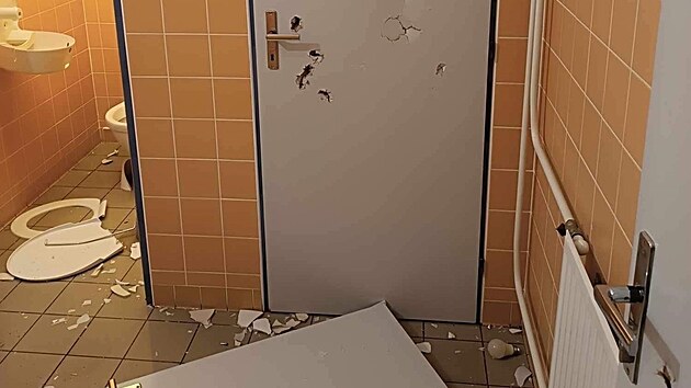 Agresivn pacient v noci na sobotu 2. z totln zdemoloval vybaven pnskch toalet na chirurgickm oddlen pelhimovsk nemocnice.