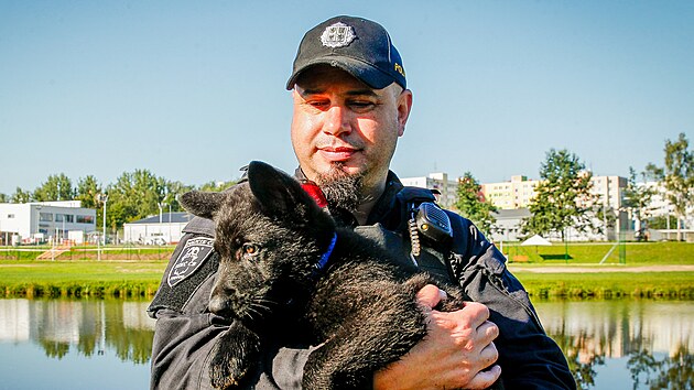 Nmeck ovk je symbolem policejnch ps.
