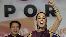 Mexická vládní levicová strana Morena oznámila, �e její kandidátkou na...