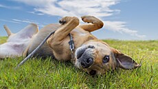 Dcera se kdysi bála �slizkých� had�. Kdy� si s...